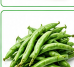 Green Beans( फ्रेंच बीन्स)