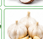 Garlic ( लहसुन)