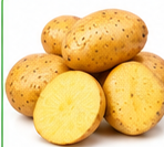 POTATO